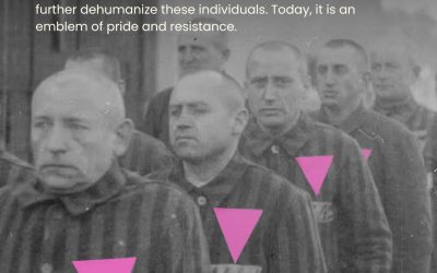 Pink Triangle Legacies: